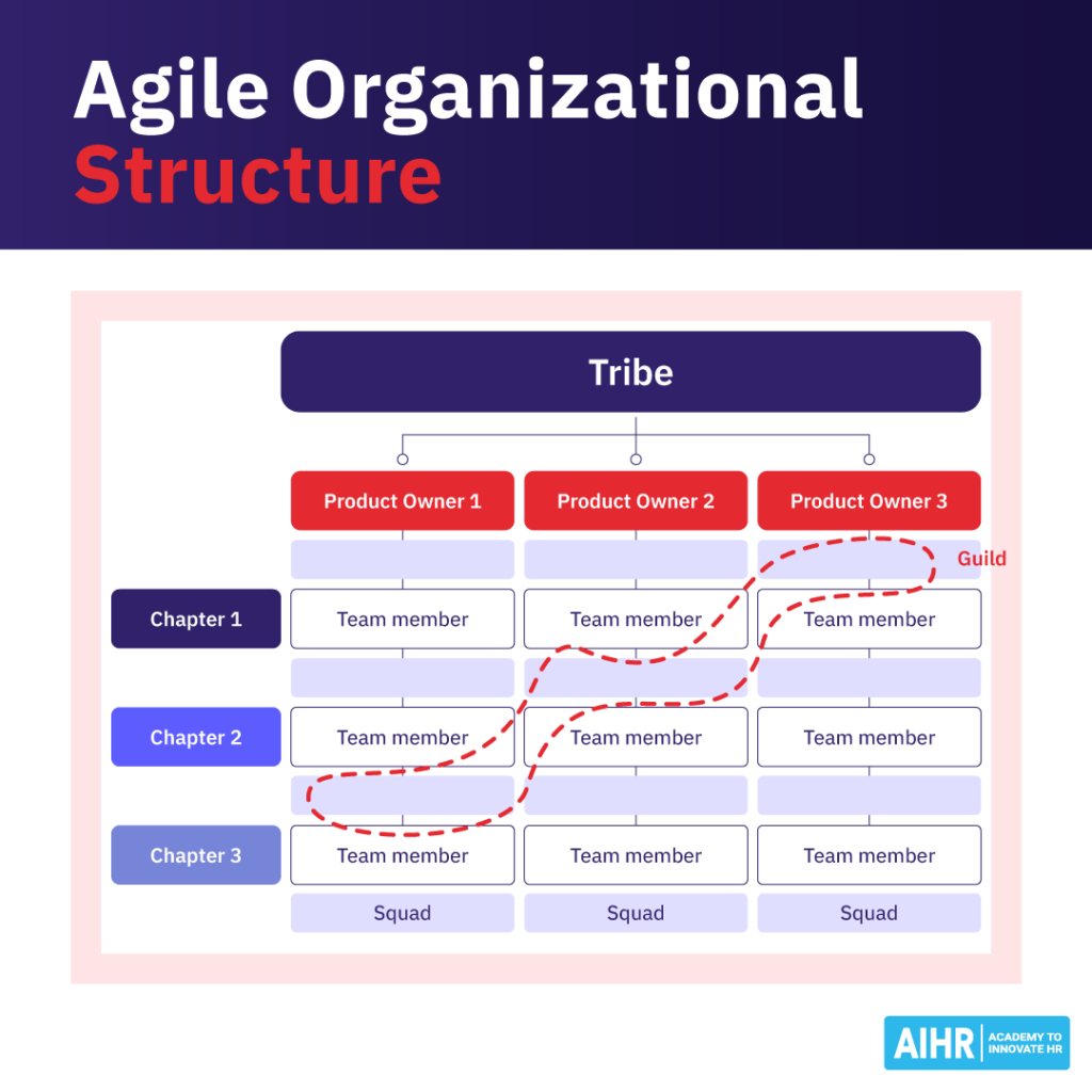 Agile organizational structure example.