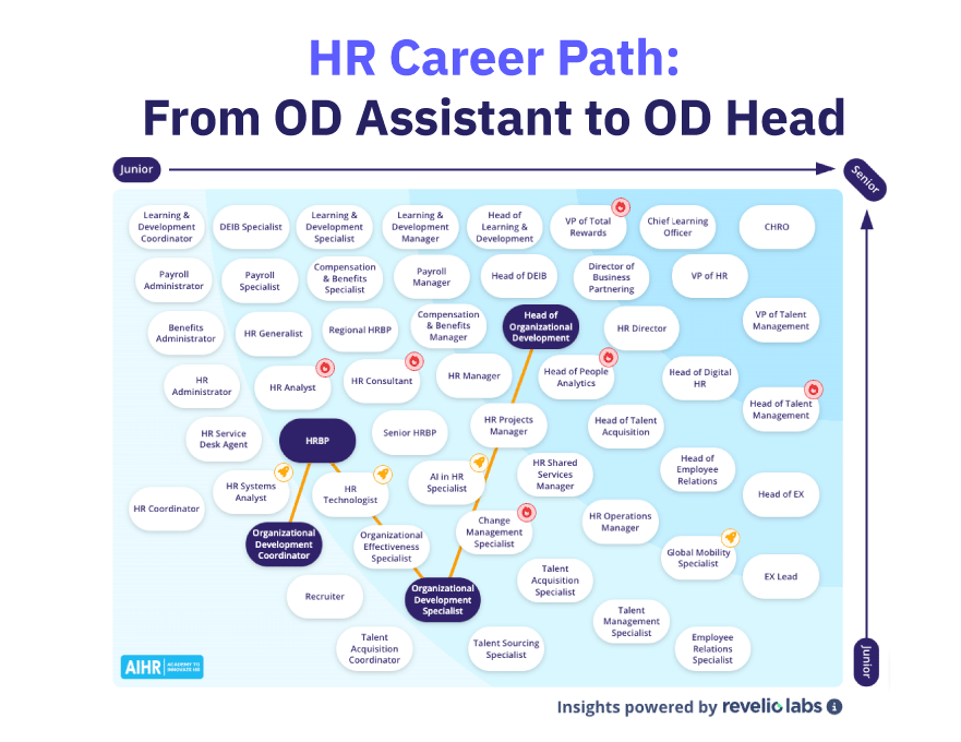 HR career path from OD Assistant to OD Head.