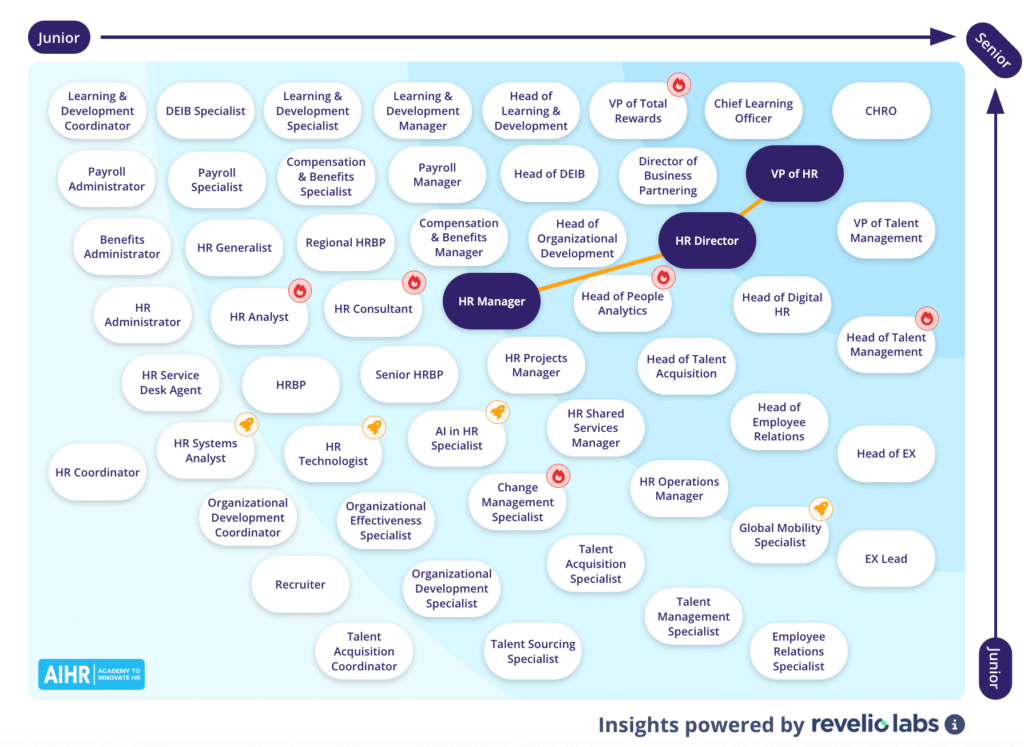 Potential career path for an HR Manager.