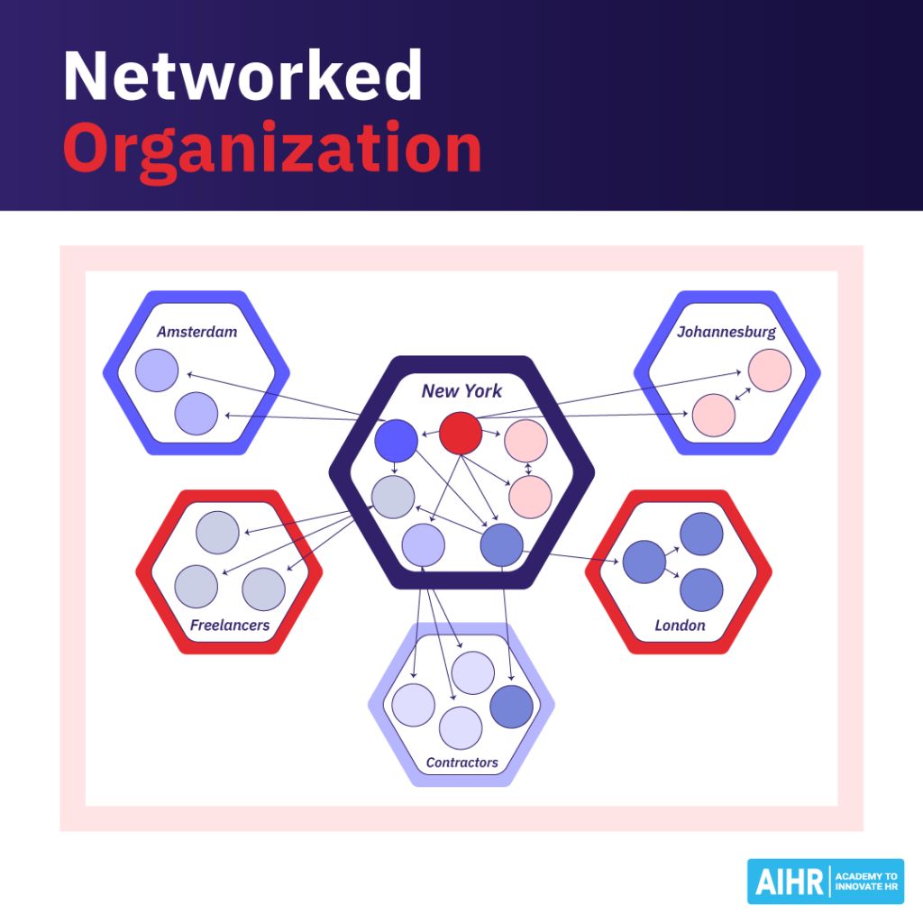 An example of a networked organization.