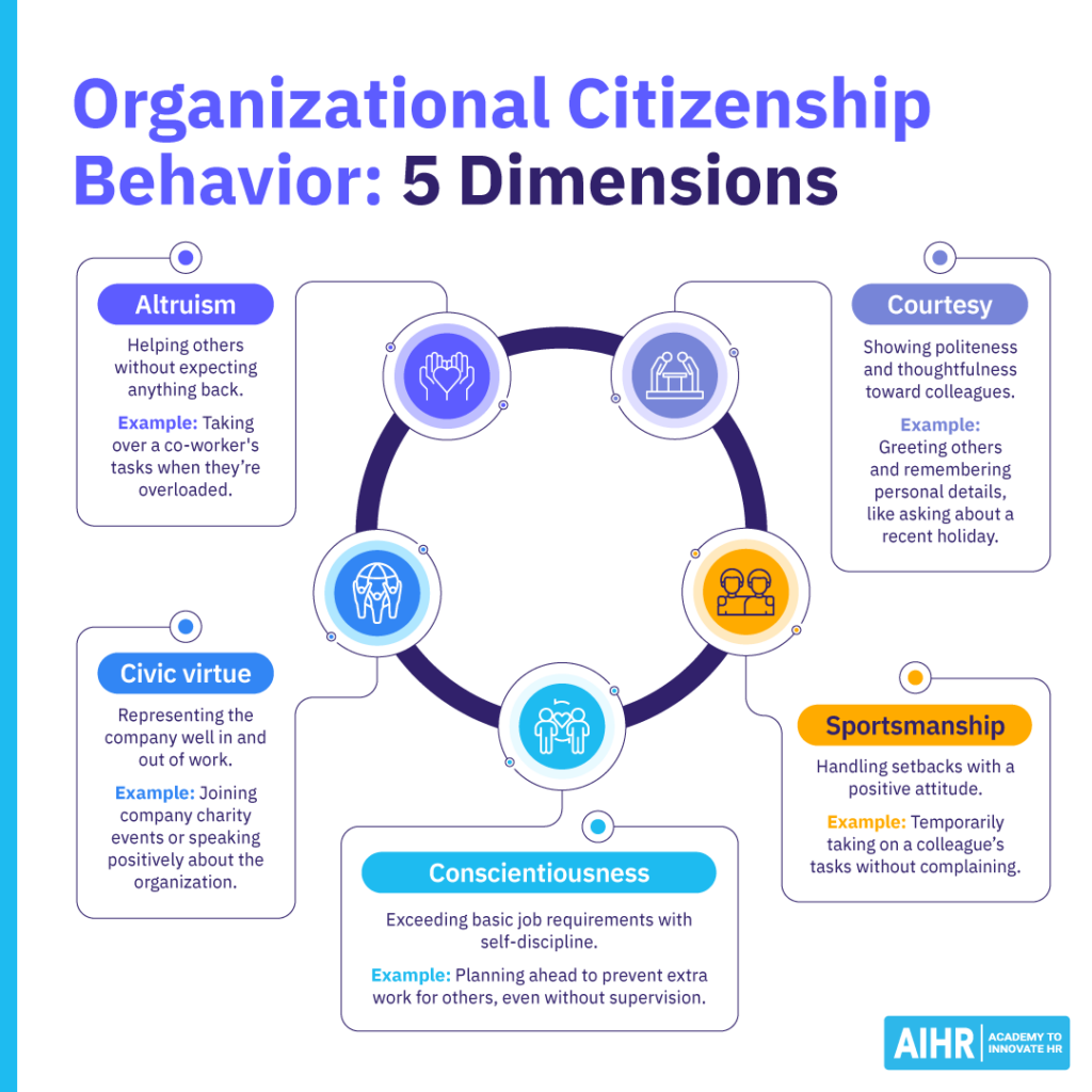 The five dimensions of organizational citizenship behavior: altruism, courtesy, sportsmanship, conscientiousness, & civic virtue.