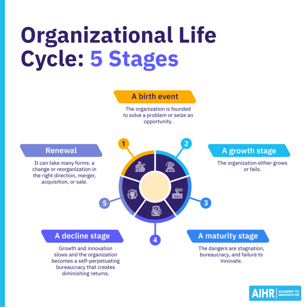 5 stages of the organizational life cycle from a birth event to decline and renewal.