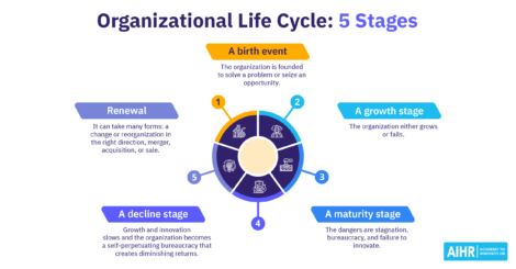 5 stages of the organizational life cycle from a birth event to decline and renewal.