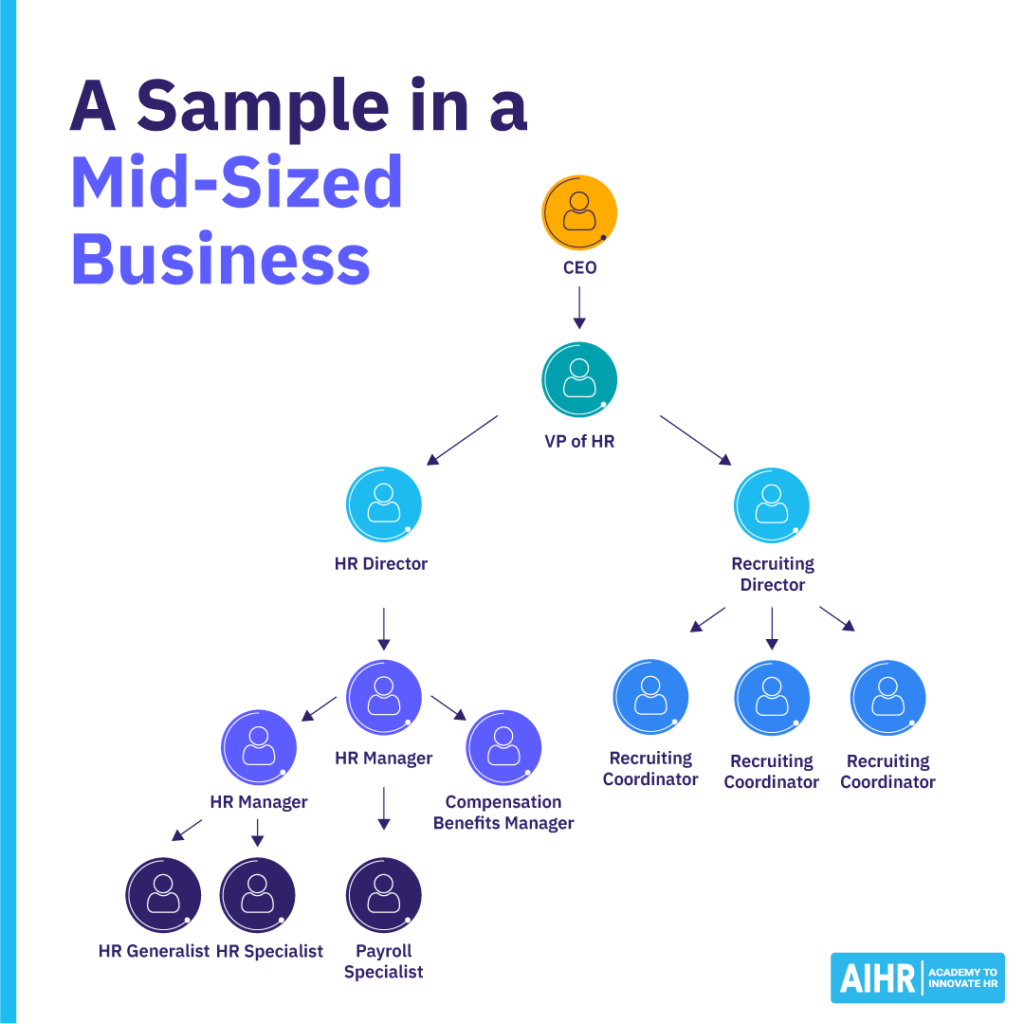 A sample of an HR organizational chart in a mid-sized organization.